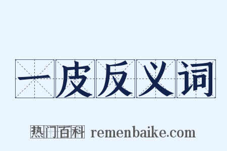 一皮反义词是什么意思的图片